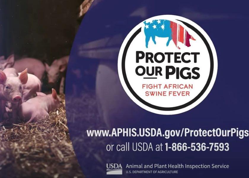 Prevention is the Best Way to Protect the U.S. from African Swine Fever Pork Business